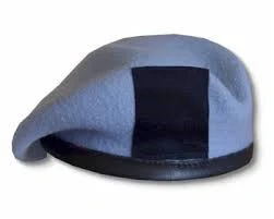 AAC - Beret Badge Backing Only - Navy B/G