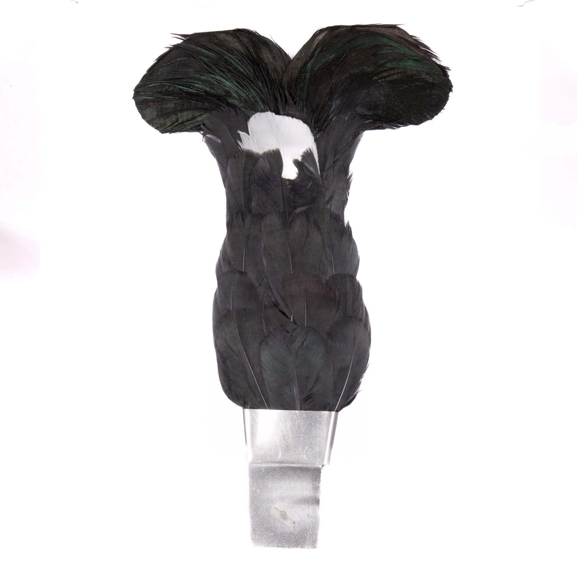 SCOTS - Blackcock Feather Plume - Image 4